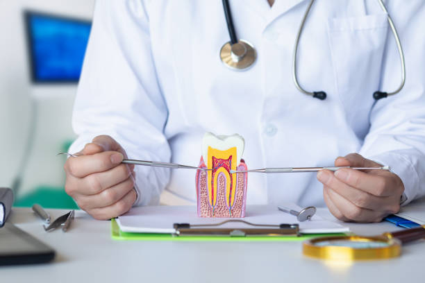 Best Emergency Treatment for Oral Infections in Hardeeville, SC